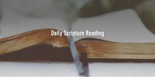 Daily Scripture Reading program artwork