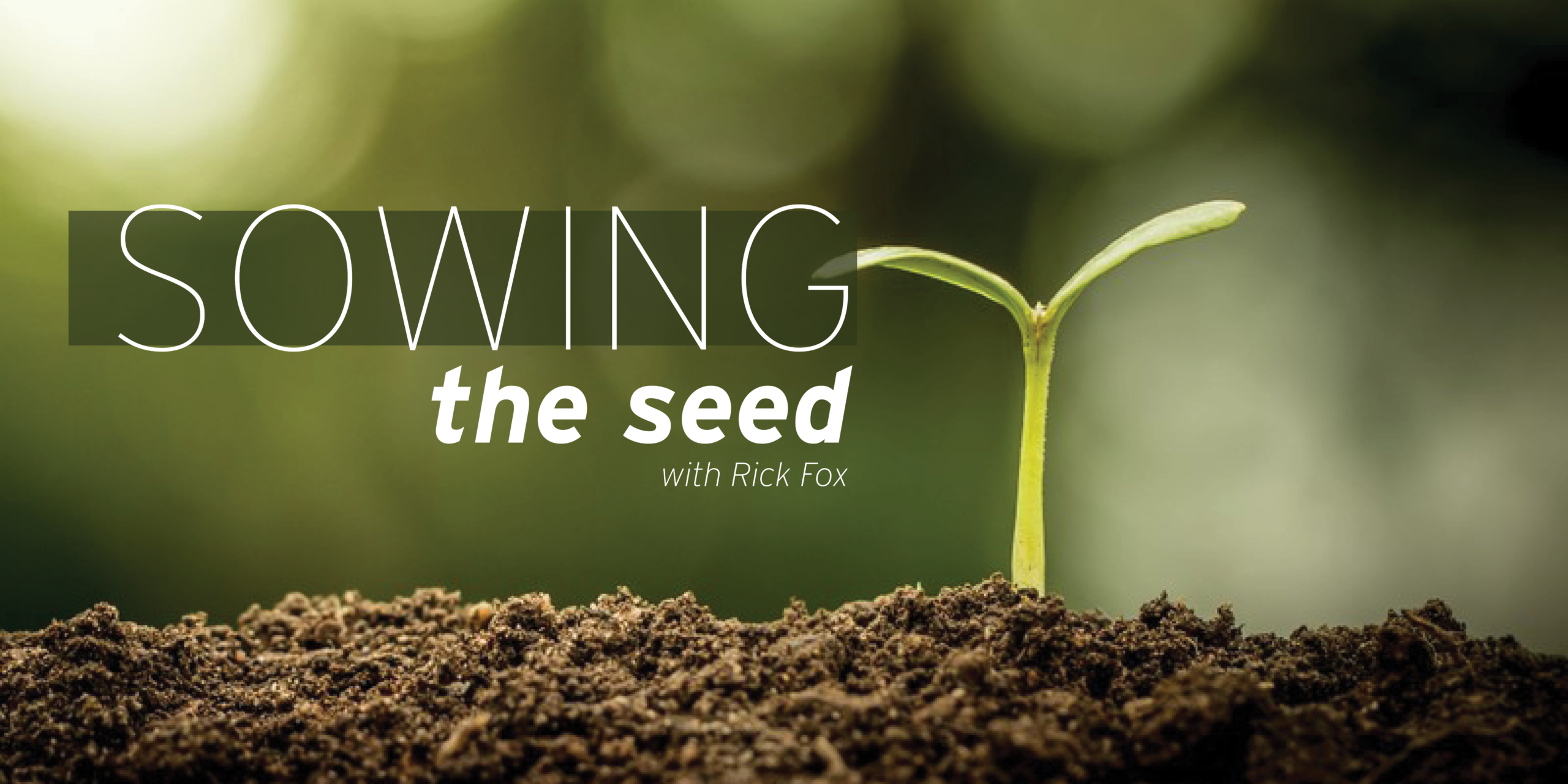 Sowing the Seed program artwork