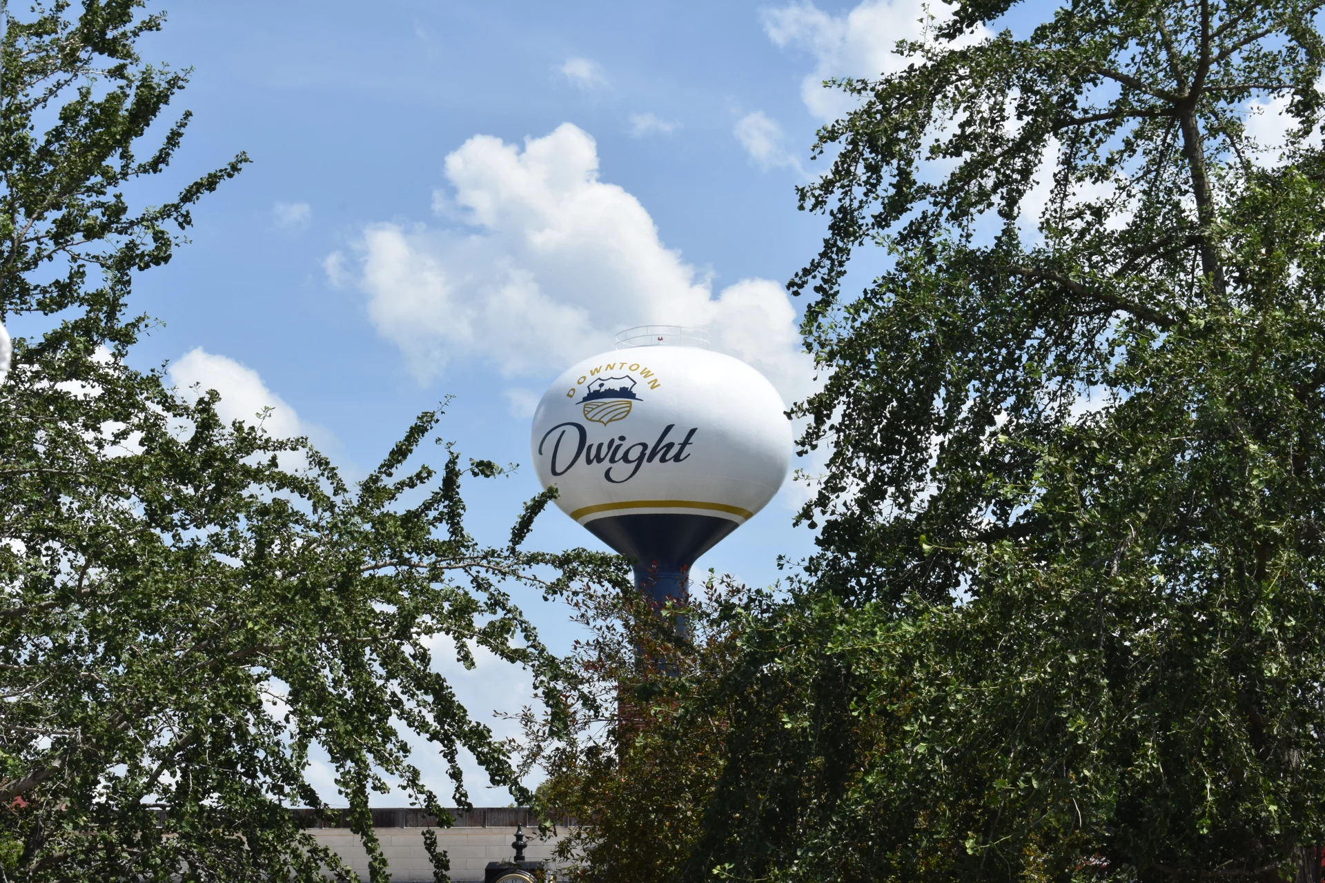 The Dwight, Illinois water tower seen through trees